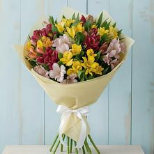 Букет цветов из:  Альстромерии в Вагае